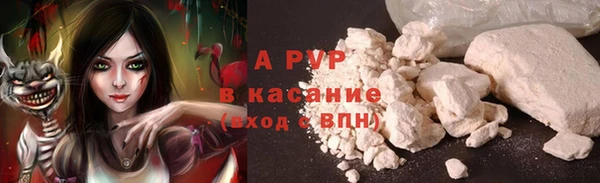 мяу мяу мука Иннополис