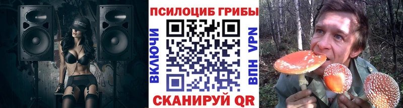 Купить закладки  Нариманов  Галлюциногенные грибы Magic Shrooms 